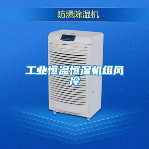 工业恒温恒湿机组风冷