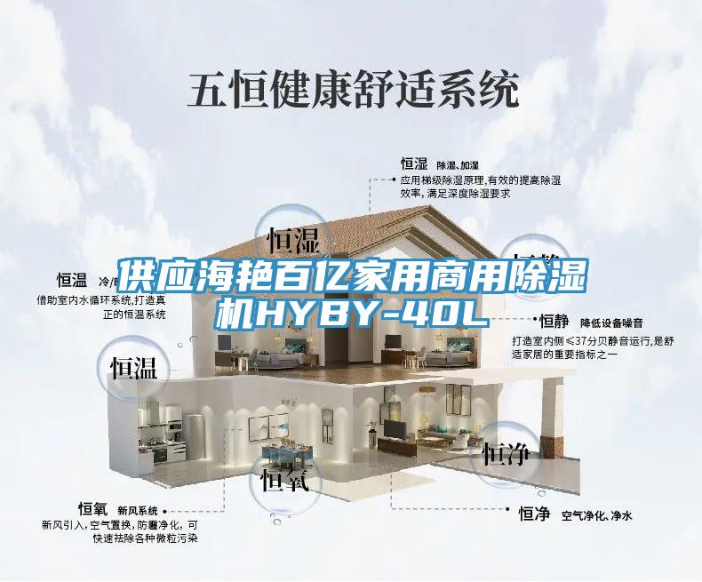 供应海艳百亿家用商用除湿机HYBY-40L