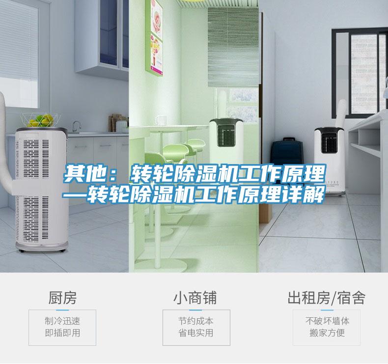 其他：转轮除湿机工作原理—转轮除湿机工作原理详解