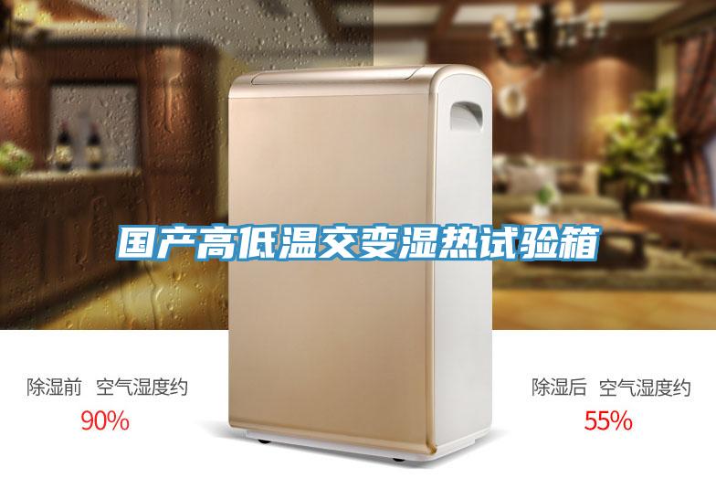 国产高低温交变湿热试验箱