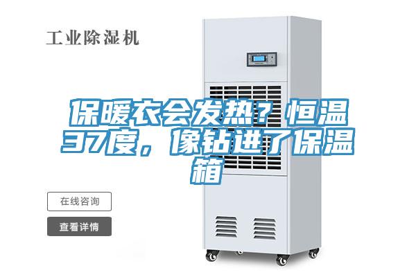 保暖衣会发热？恒温37度，像钻进了保温箱