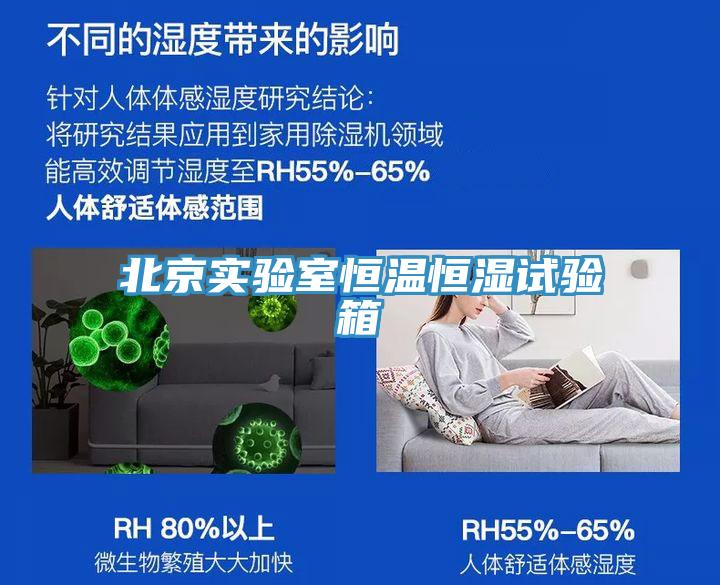 北京实验室恒温恒湿试验箱