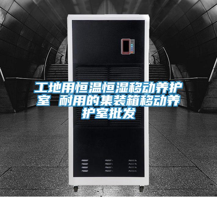 工地用恒温恒湿移动养护室 耐用的集装箱移动养护室批发