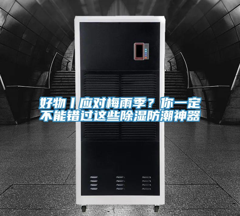 好物丨应对梅雨季?你一定不能错过这些除湿防潮神器