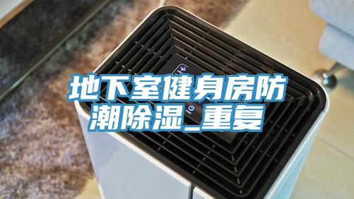 地下室健身房防潮除湿_重复