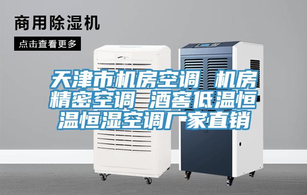 天津市机房空调 机房精密空调 酒窖低温恒温恒湿空调厂家直销