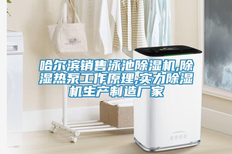 哈尔滨销售泳池除湿机,除湿热泵工作原理,实力除湿机生产制造厂家