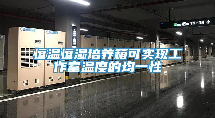 恒温恒湿培养箱可实现工作室温度的均一性