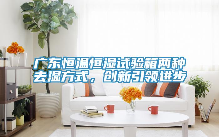 广东恒温恒湿试验箱两种去湿方式,创新引领进步