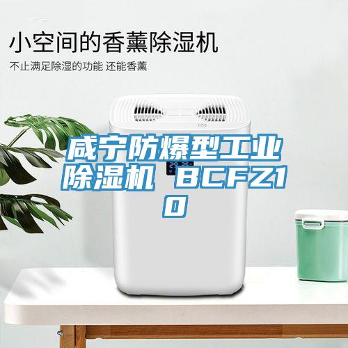 咸宁防爆型工业除湿机 BCFZ10