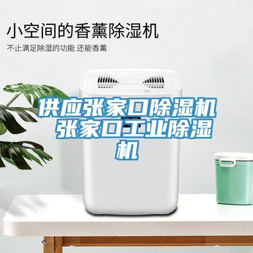 供应张家口除湿机 张家口工业除湿机