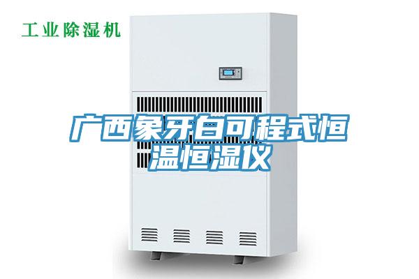 广西象牙白可程式恒温恒湿仪