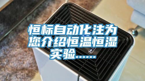 恒标自动化注为您介绍恒温恒湿实验......