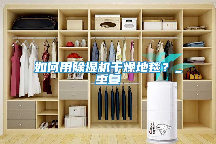 如何用除湿机干燥地毯？_重复
