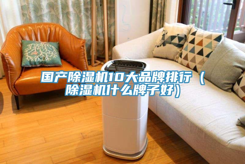 国产除湿机10大品牌排行（除湿机什么牌子好）