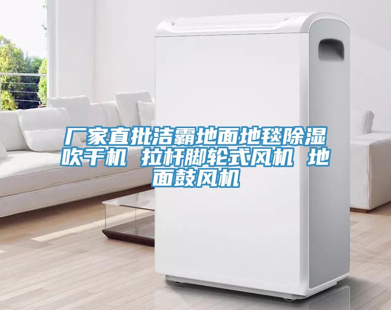 厂家直批洁霸地面地毯除湿吹干机 拉杆脚轮式风机 地面鼓风机