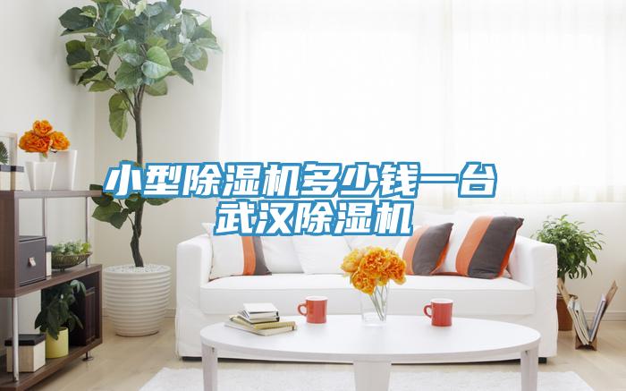 小型除湿机多少钱一台 武汉除湿机