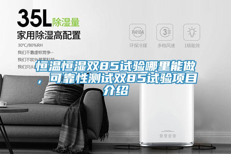 恒温恒湿双85试验哪里能做，可靠性测试双85试验项目介绍