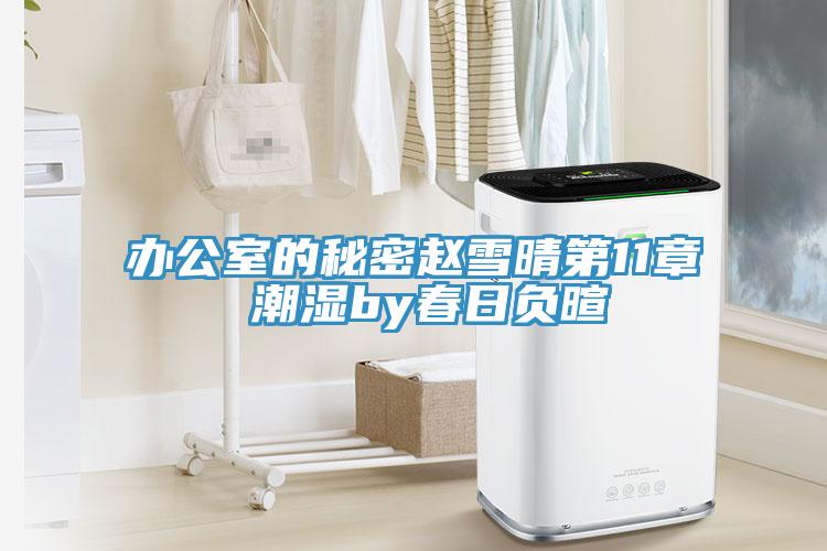 办公室的秘密赵雪晴第11章 潮湿by春日负暄