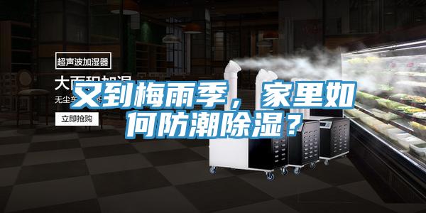 又到梅雨季，家里如何防潮除湿？