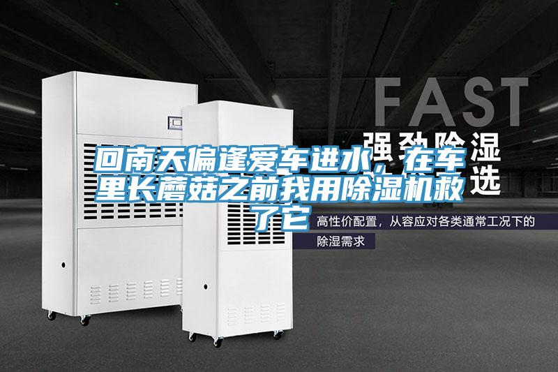回南天偏逢爱车进水，在车里长蘑菇之前我用除湿机救了它