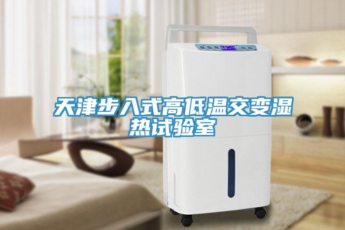 天津步入式高低温交变湿热试验室