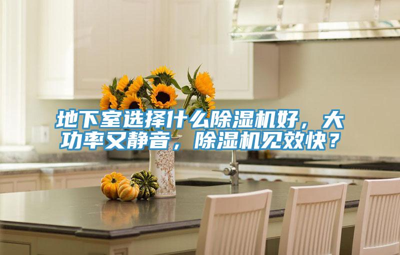 地下室选择什么除湿机好,大功率又静音,除湿机见效快?