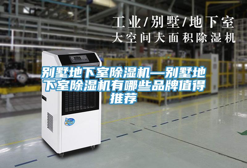 别墅地下室除湿机—别墅地下室除湿机有哪些品牌值得推荐