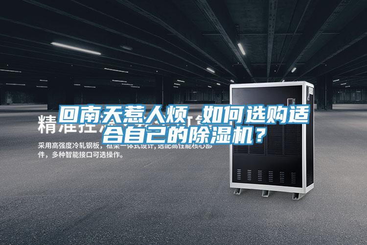 回南天惹人烦 如何选购适合自己的除湿机？
