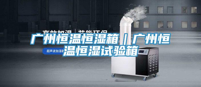 广州恒温恒湿箱｜广州恒温恒湿试验箱