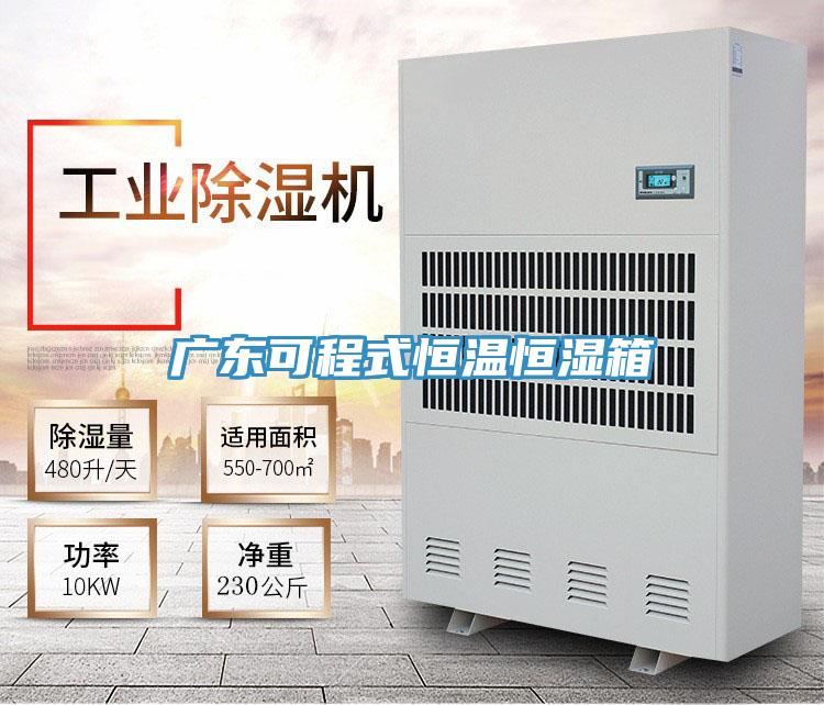 广东可程式恒温恒湿箱