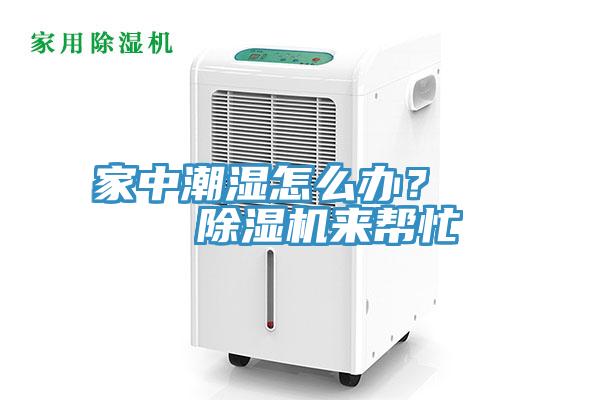 家中潮湿怎么办？    除湿机来帮忙