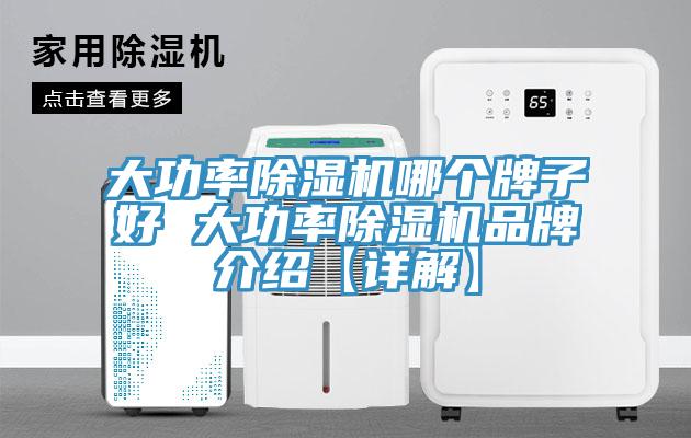 大功率除湿机哪个牌子好 大功率除湿机品牌介绍【详解】