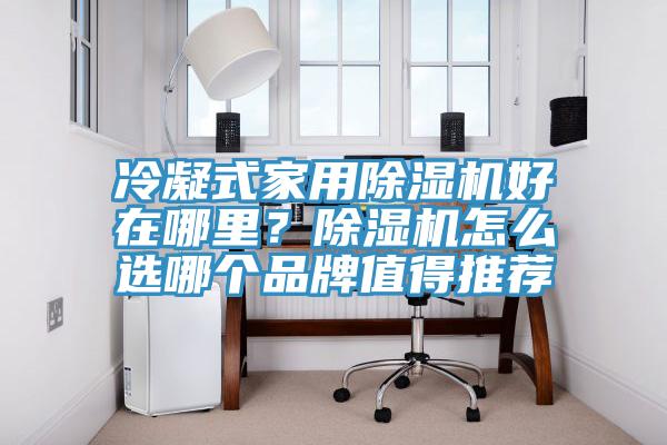 冷凝式家用除湿机好在哪里？除湿机怎么选哪个品牌值得推荐