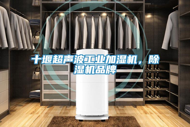 十堰超声波工业加湿机,除湿机品牌