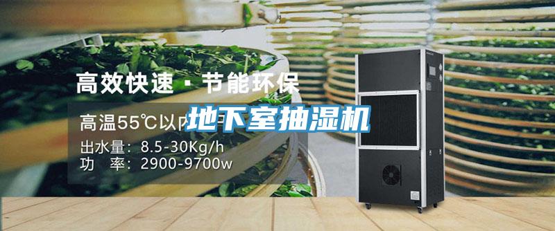 地下室抽湿机
