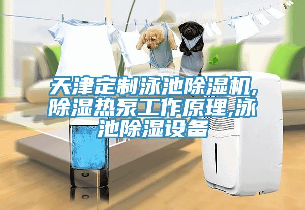 天津定制泳池除湿机,除湿热泵工作原理,泳池除湿设备