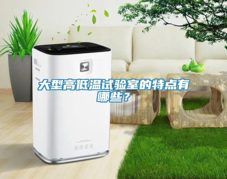 大型高低温试验室的特点有哪些？