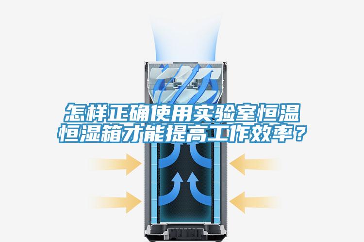 怎样正确使用实验室恒温恒湿箱才能提高工作效率？