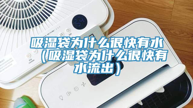 吸湿袋为什么很快有水（吸湿袋为什么很快有水流出）
