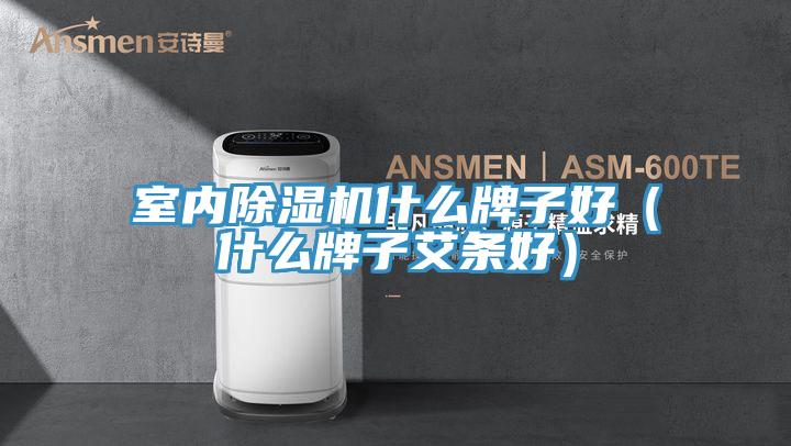 室内除湿机什么牌子好(什么牌子艾条好)
