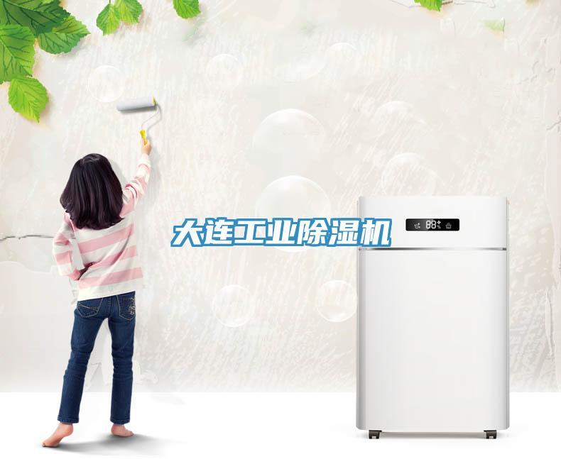 大连工业除湿机