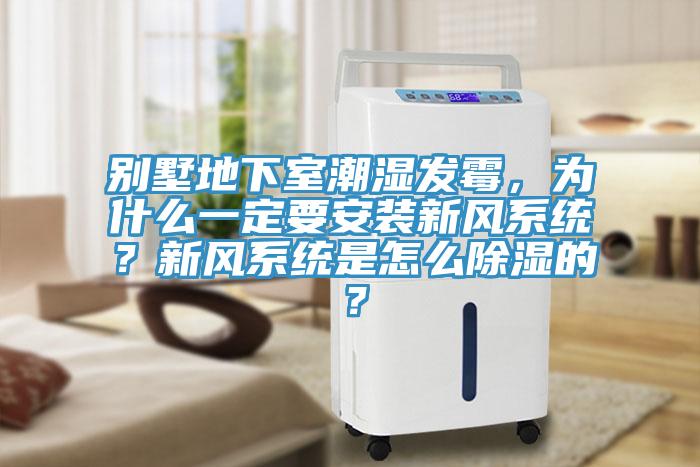 别墅地下室潮湿发霉，为什么一定要安装新风系统？新风系统是怎么除湿的？