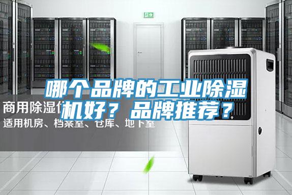哪个品牌的工业除湿机好？品牌推荐？