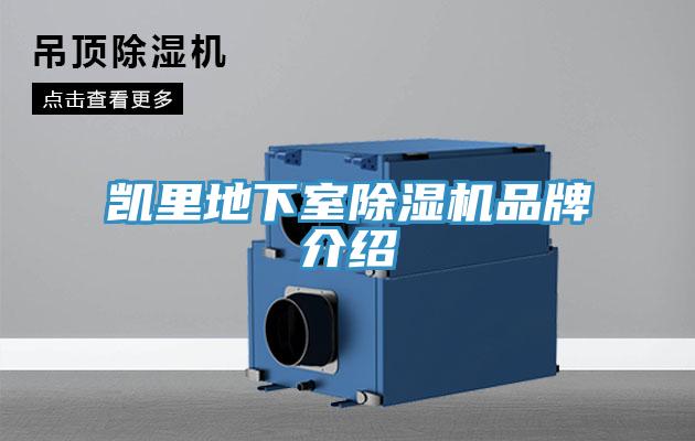 凯里地下室除湿机品牌介绍