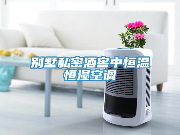 别墅私密酒窖中恒温恒湿空调
