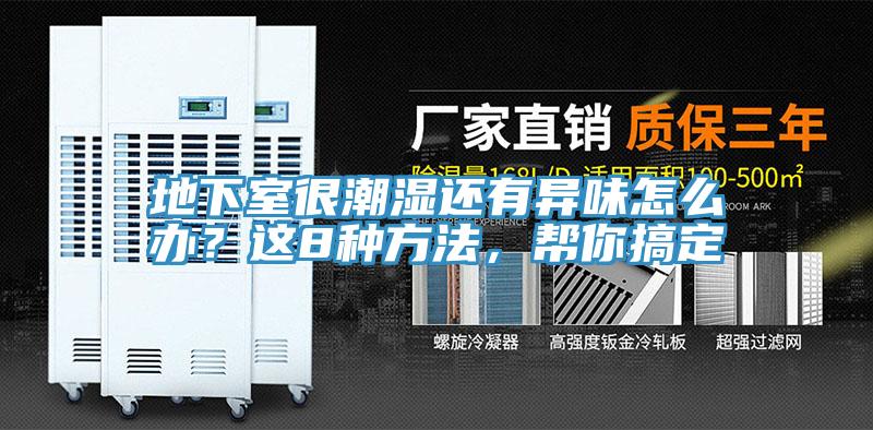 地下室很潮湿还有异味怎么办？这8种方法，帮你搞定