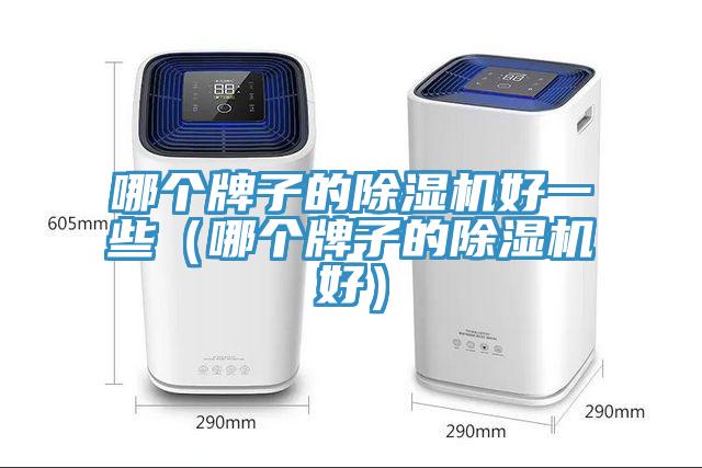 哪个牌子的除湿机好一些（哪个牌子的除湿机好）