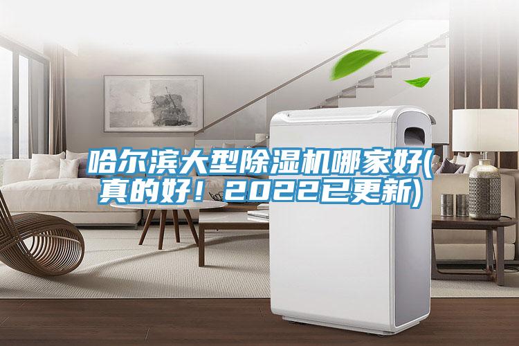 哈尔滨大型除湿机哪家好(真的好！2022已更新)