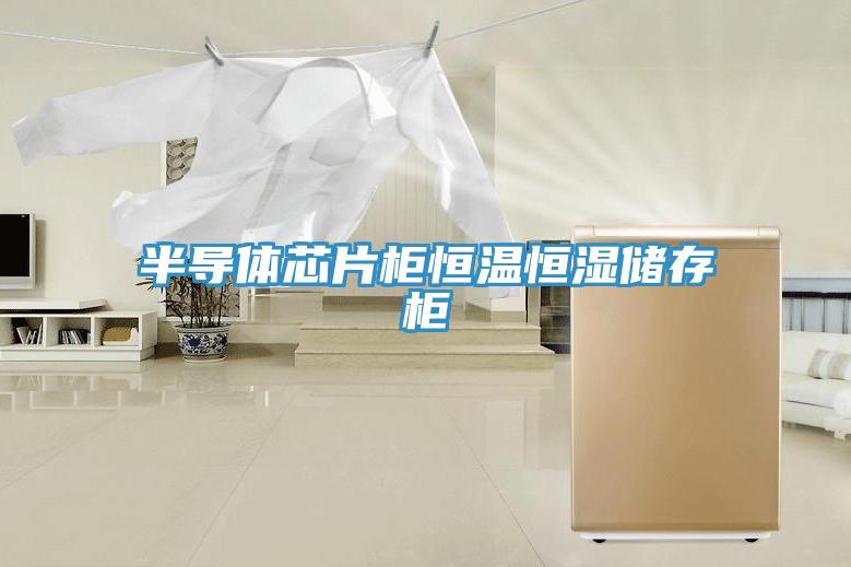 半导体芯片柜恒温恒湿储存柜